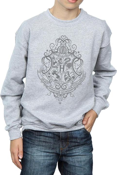 Actual product image Boys Hogwarts Draco Dormiens Crest Sweatshirt (116)