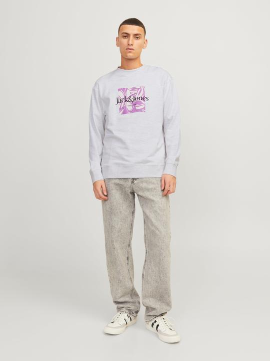 Actual product image Jack & Jones Printed sweatshirt with round neck Sweatshirt with round neck (S)