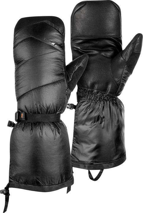 Mammut Arctique (7)