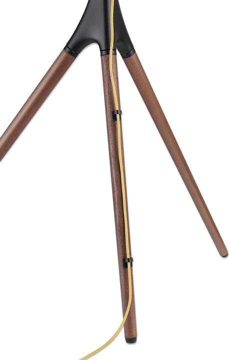 TV + Display stands