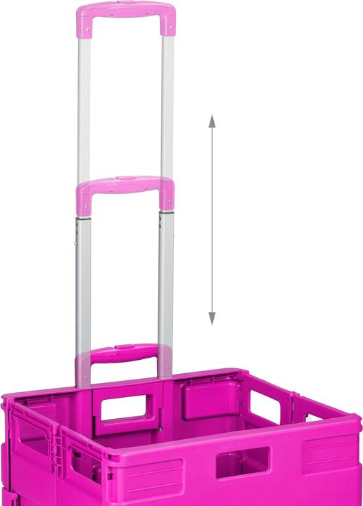 Immagine prodotto Relaxdays Carrello della spesa