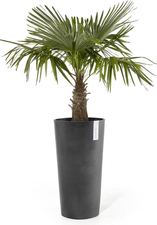 Image du produit Ecopots Amsterdam High (41 cm)