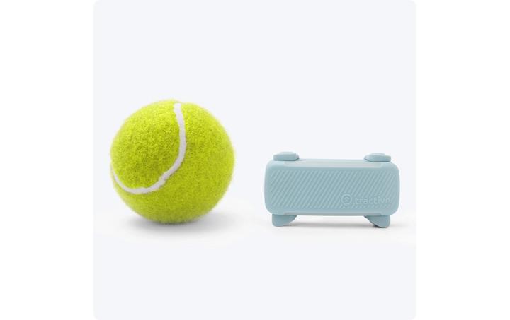 Image du produit Tractive GPS Tracker Dog 6 (Chien)