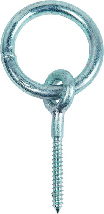 Image du produit Meister Piton vis galvanisé (0.01 m)