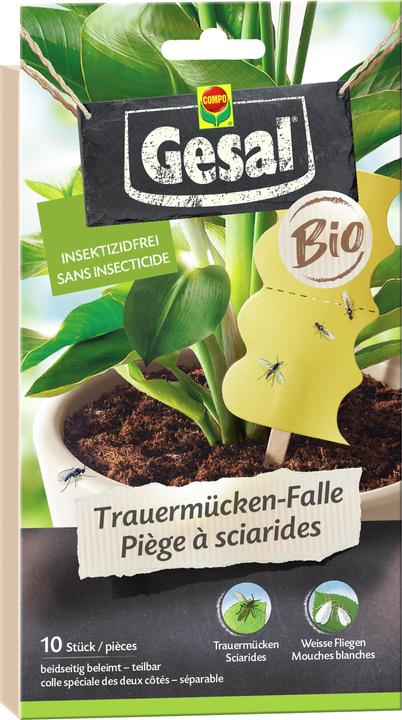 Produktbild Gesal BIO Trauermücken-Falle