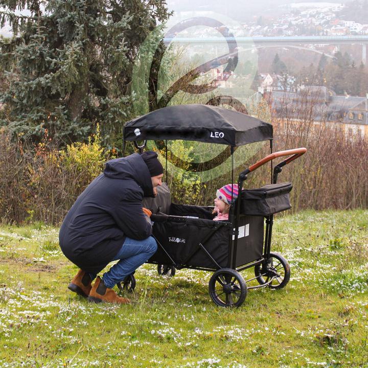 Actual product image Arebos Handcart