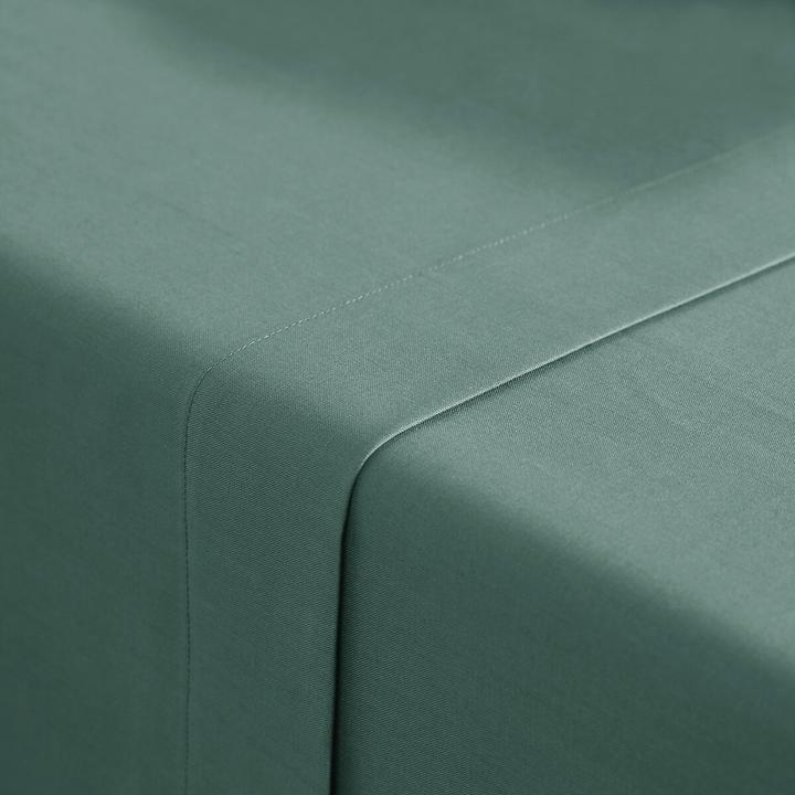 Produktbild La Redoute Interieurs Scenario Coton (240 x 290 cm)