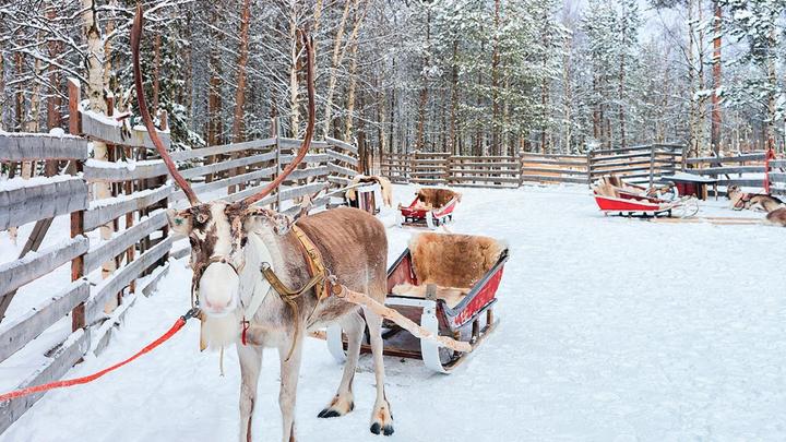Produktbild Besuch beim Weihnachtsmann