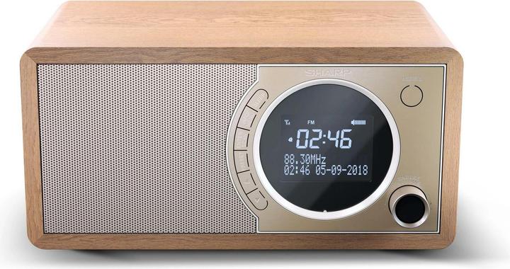 Actual product image Sharp DR-450 (FM, DAB+, Bluetooth)