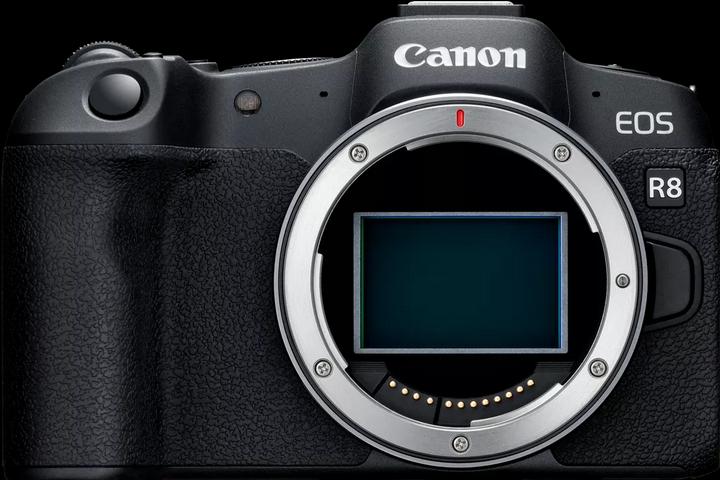 Canon EOS R8 (24.20 Mpx, Vollformat)