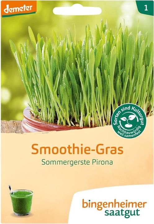 Bingenheimer Saatgut Smoothie Gras Sommergerste (Blumenzwiebel)