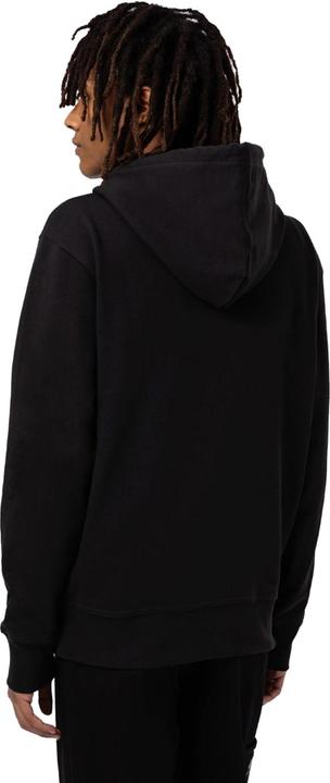 Produktbild Dickies Mount Vista Hoodie (L)
