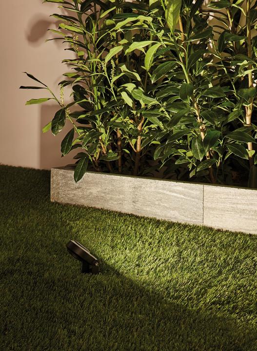 Image du produit Paulmann Kit de démarrage Outdoor Plug & Shine Sting (655 lm, IP67)