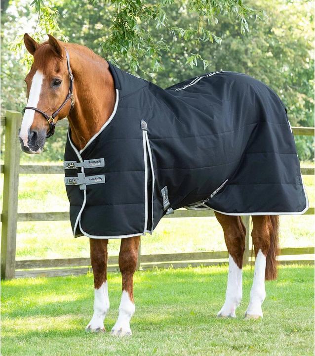 Immagine prodotto Premier Equine Lucanta 100 g (191 cm)