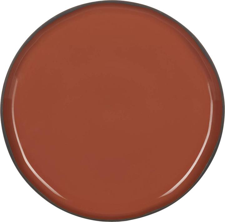 Actual product image Revol Plates (1 x, 30 cm)