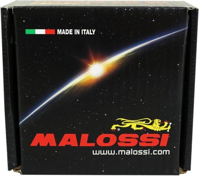 Produktbild Malossi Force Master 2 Piaggio 350 Mp3 2018+, Beverly 2016+, X10 2012+