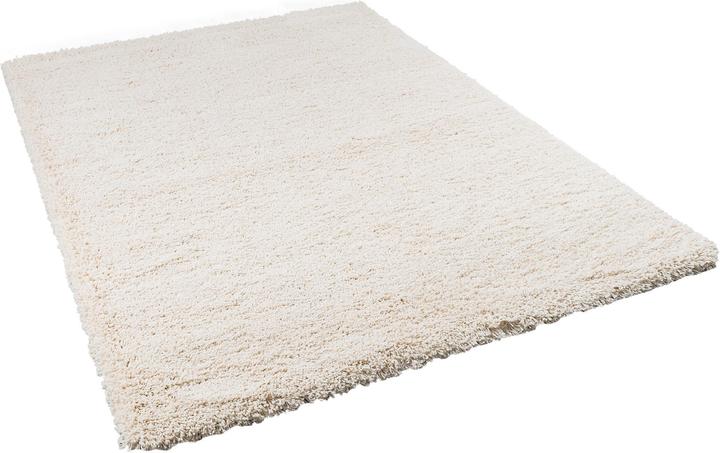 Immagine prodotto Pergamon Tappeto Shaggy a pelo lungo di lusso (140 x 200 cm)