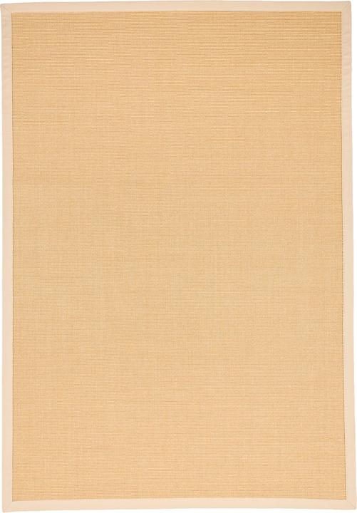 Actual product image Pergamon Sisal carpet Natura Classic with border (200 x 290 cm)