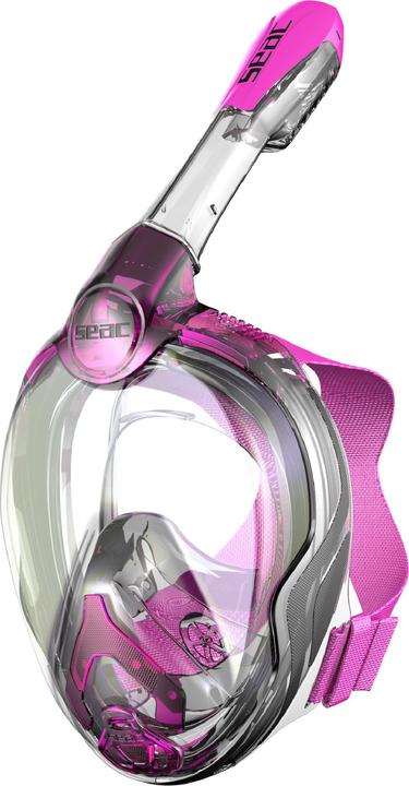 Rose, Transparent