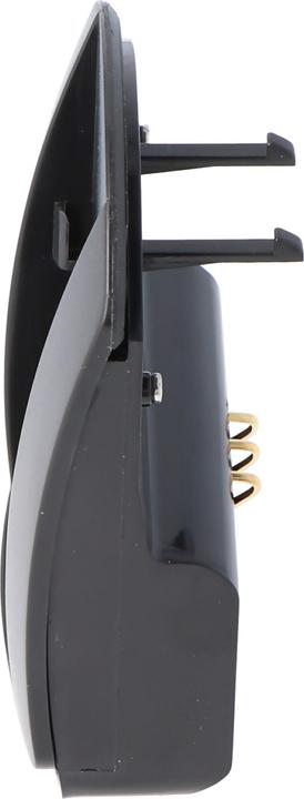 Actual product image AccuCell Quick charger Canon NB-2LH, NB-2L (Charger)