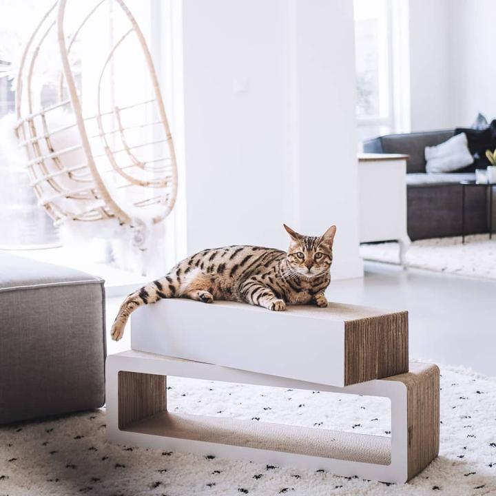 Immagine prodotto District 70 Kratzbaum (24 cm, Bianco e beige)