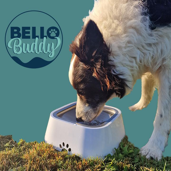 Produktbild MediaShop BelloBuddy Hundewassernapf