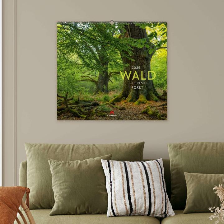 Actual product image Wald Kalender 2026 (54 x 48 cm, Hardcover, German, French, English)