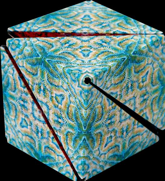 Image du produit Shashibo Cube Undersea (Multilingue)