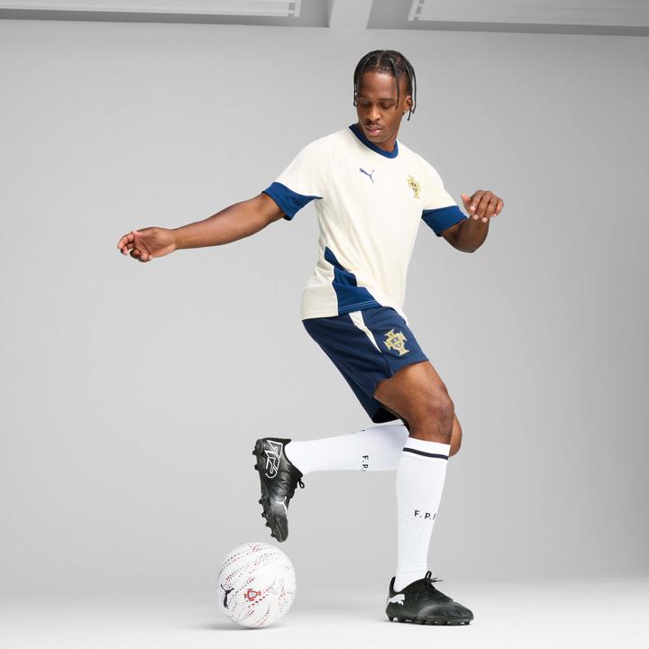 Image du produit Puma Short d'entraînement FPF (M)