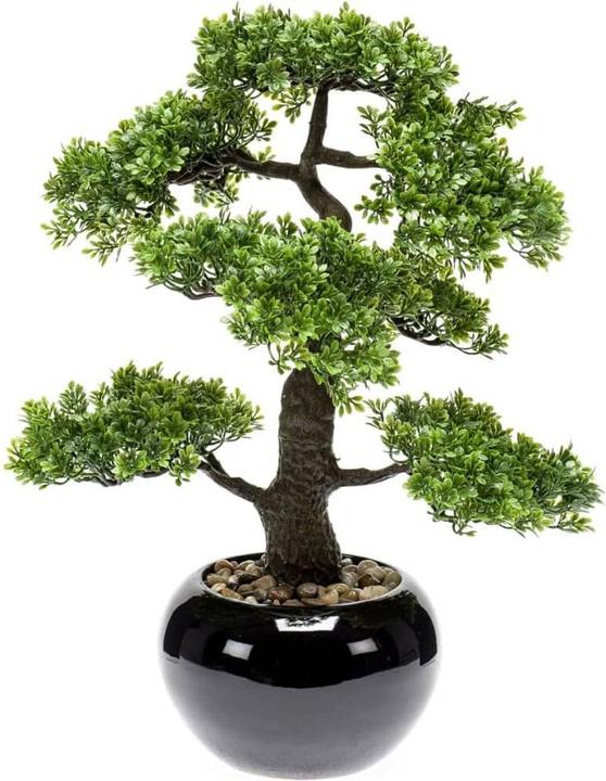 Image du produit Emerald Allan (47 cm)