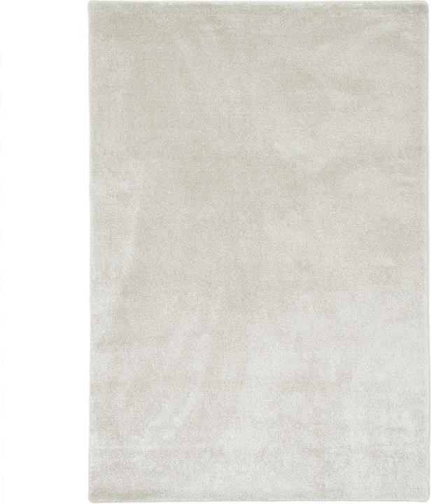 Produktbild Snapstyle Hochflor Luxus Velours Teppich Touch (100 x 400 cm)