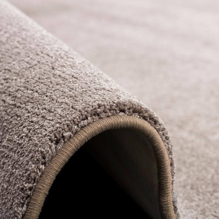 Produktbild Snapstyle Hochflor Luxus Velours Teppich Touch (100 x 300 cm)