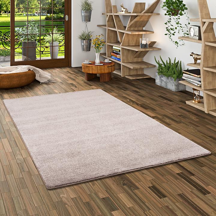 Produktbild Snapstyle Hochflor Luxus Velours Teppich Touch (100 x 300 cm)
