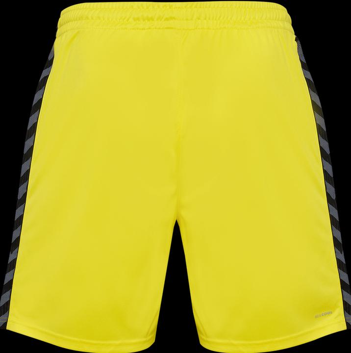 Actual product image hummel Hmlauthentic Pl Shorts (S)