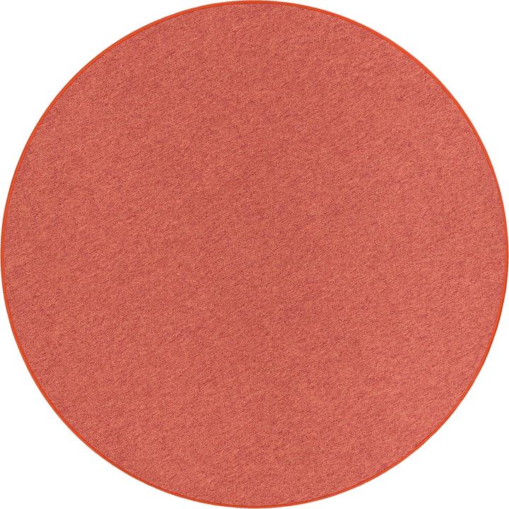 Image du produit Snapstyle Velours à boucles fines Tapis Strong (Ø 160 cm)