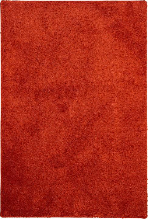 Immagine prodotto Snapstyle Palazzo del tappeto arruffato (100 x 300 cm)