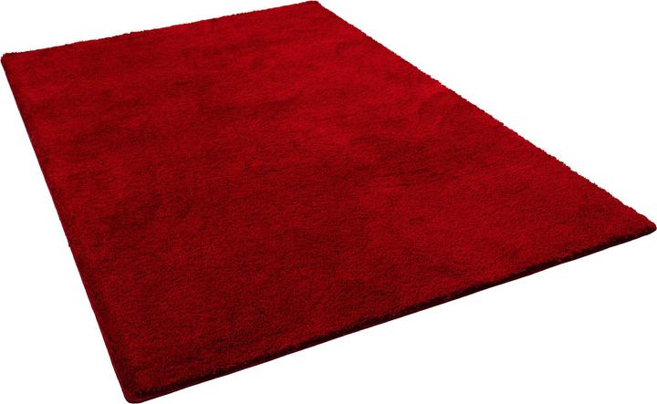 Image du produit Snapstyle Tapis Shaggy à poils longs Palace (160 x 160 cm)