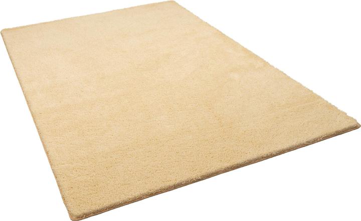 Image du produit Snapstyle Palais du tapis à poils longs (80 x 240 cm)