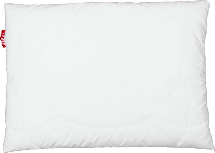 Immagine prodotto Zizzz Cuscino in piuma d'oca Premium (40 x 60 cm)