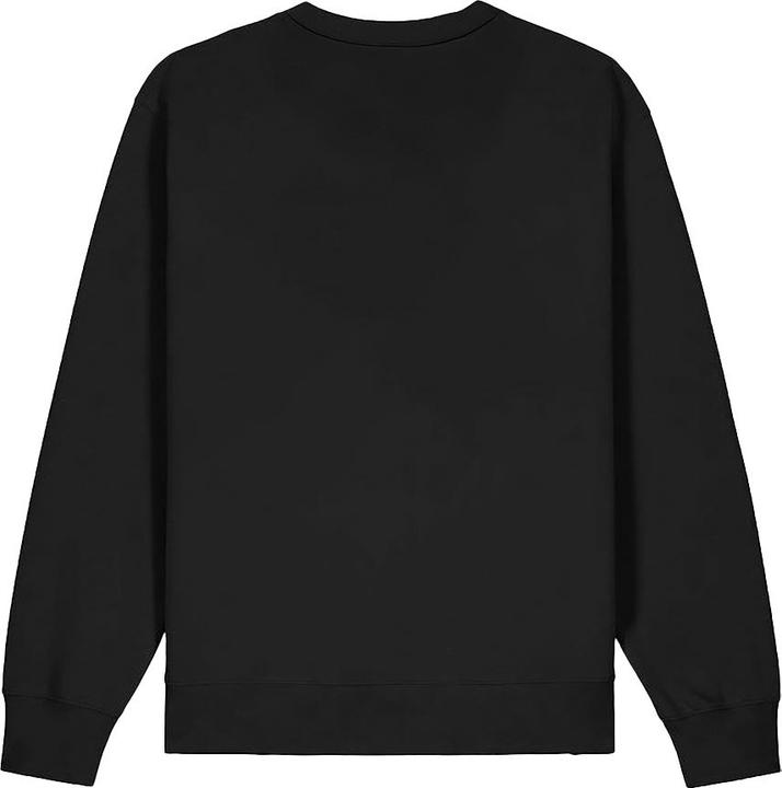 Actual product image Park Fields Unisex Adult University of Michigan Wolverines Sweatshirt (S)