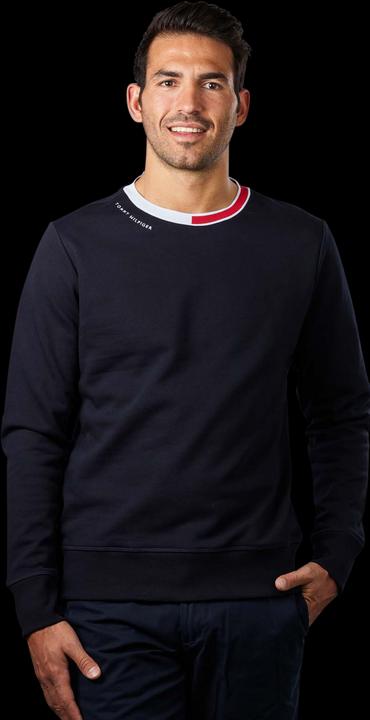 Tommy Hilfiger Jacquard Pullover Crew Neck Desert Sky