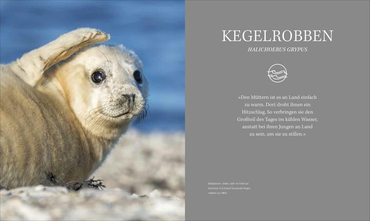 Produktbild Unsere Meere – Naturwunder Nord- und Ostsee (Deutsch, Thomas Behrend, Martina Andrés, 2023)