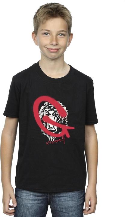 Actual product image Boys Gryffindor Pop Spray T-Shirt (140, 146)
