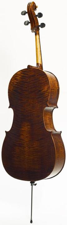 Actual product image Stentor Arcadia (Cello, 4/4)