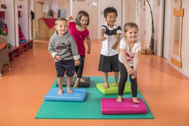 Image du produit Airex Balance Pad Elite