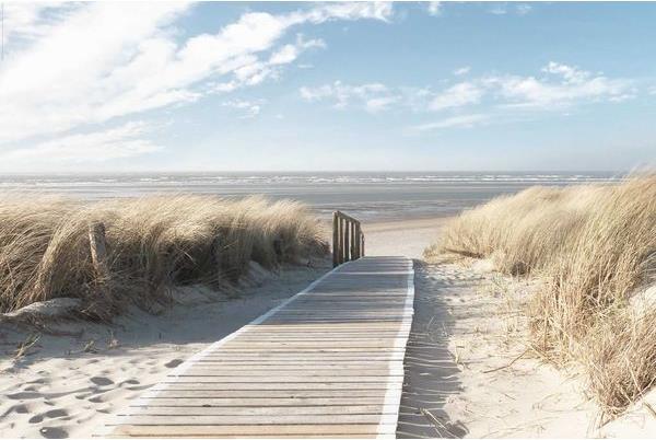 Produktbild Reinders Dunes (40 x 50 cm)