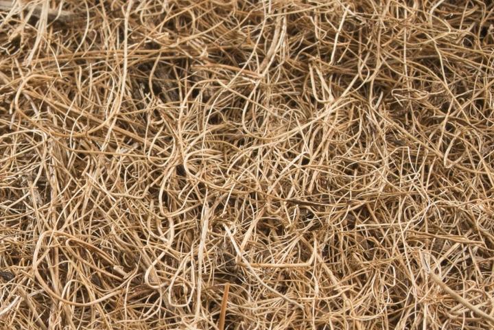 Actual product image Windhager Mulching disc Cocodisc