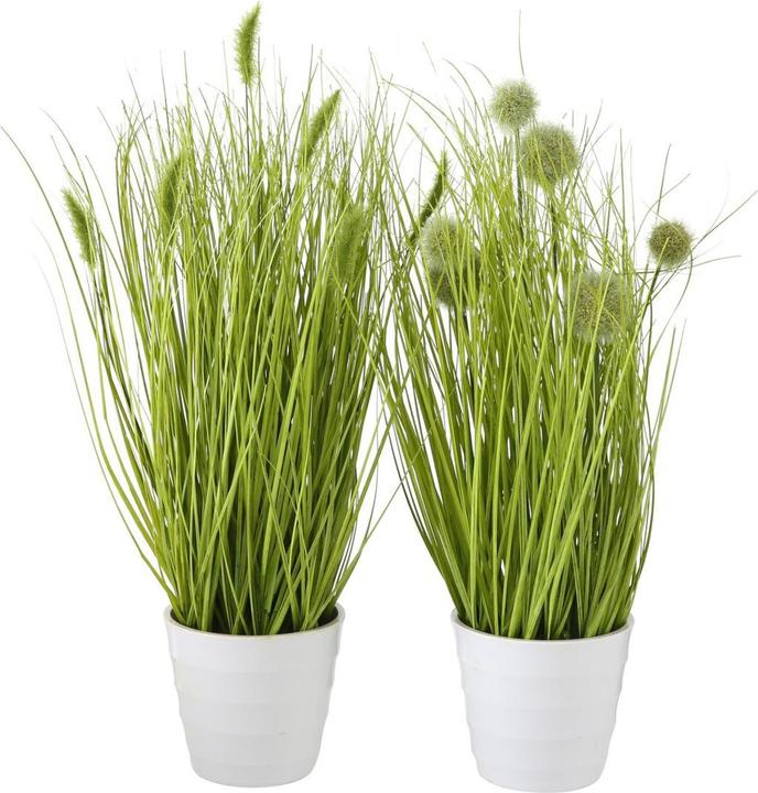 Boltze Home Boltze potted plant bristle millet 44cm assorted(1 piece) (44 cm)