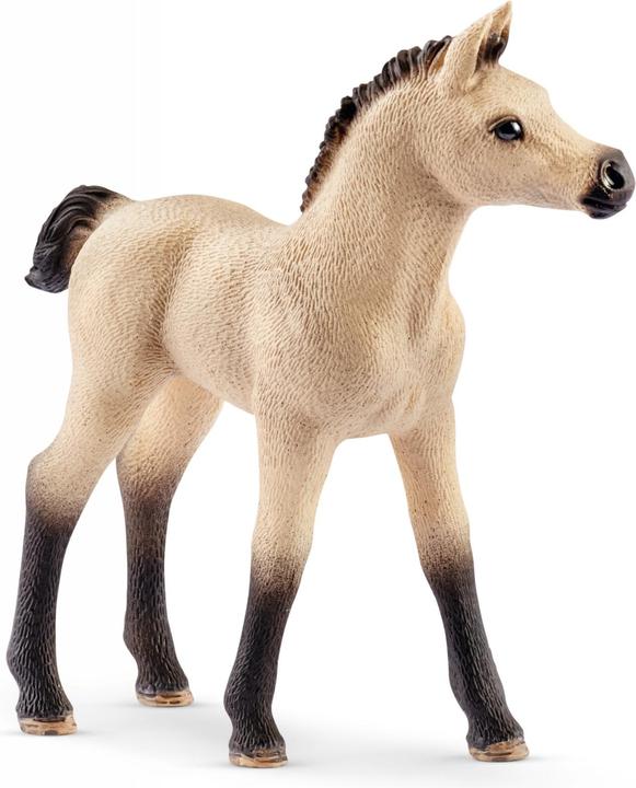 Produktbild Schleich Pferdebox mit arabischen Pferde und Begleiter
