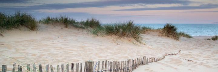 Produktbild Eibert Visual Dune et Chemin (30 x 97 cm)